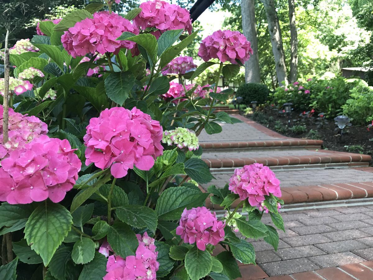 Gramercy Mansion Stevenson 외부 사진